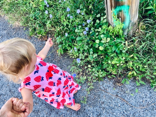 Barefoot toddler picking flowers