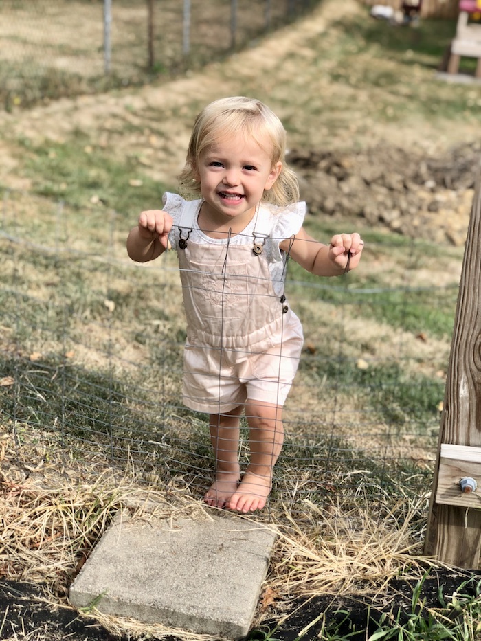 Toddler standing at garden fence in overalls