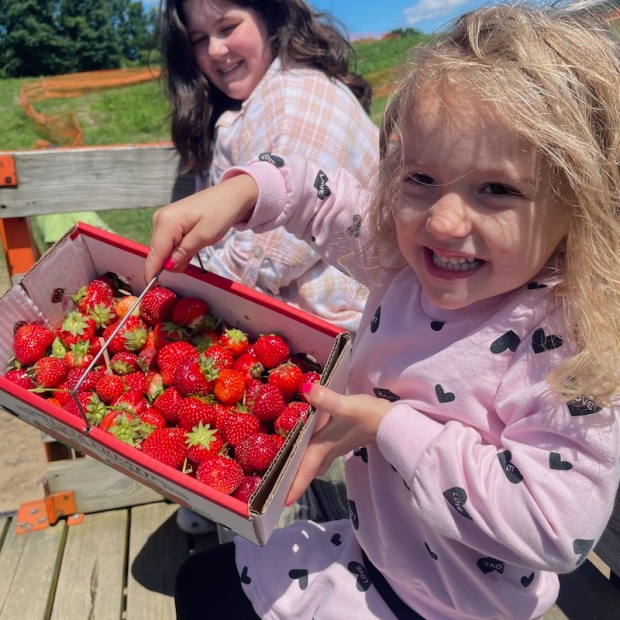 Little girl holding box of strawberries from farm in Pittsburgh