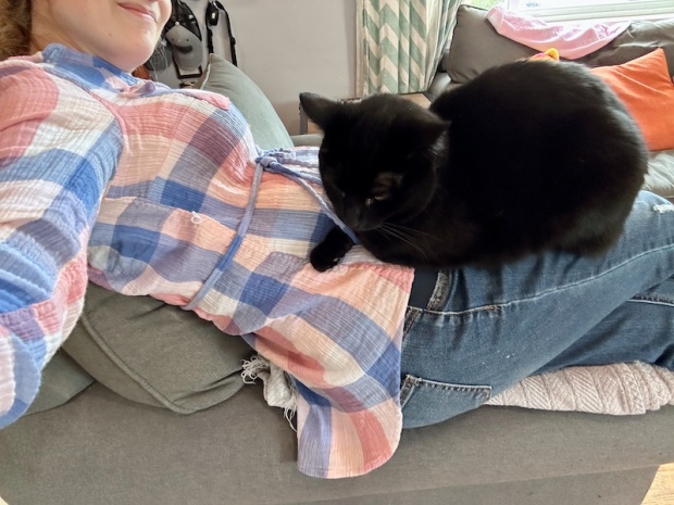 Cat laying on baby bump