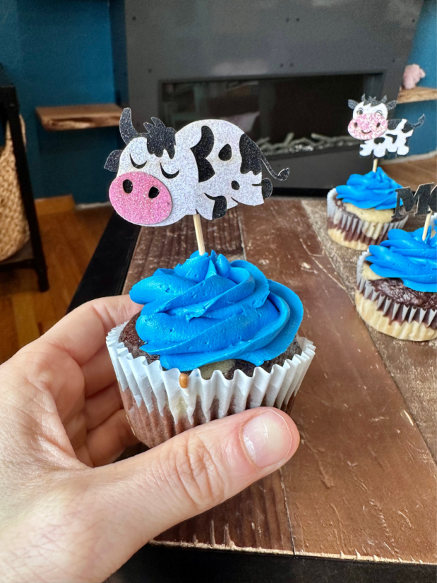Cow cupcakes with blue frosting for gender reveal